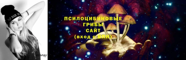 а пвп мука Горно-Алтайск
