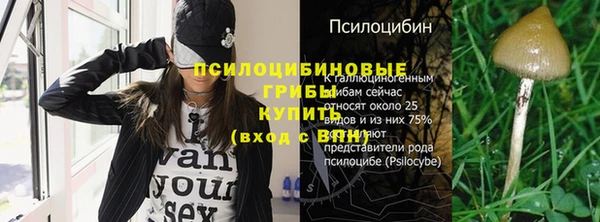 а пвп мука Горно-Алтайск