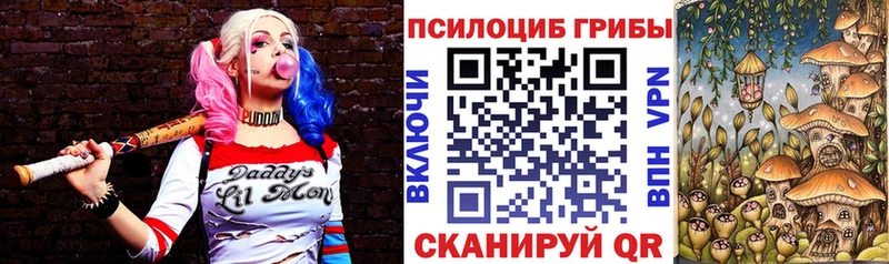 Псилоцибиновые грибы мицелий Купить закладки Вятские Поляны